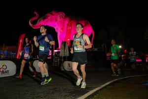 BIB: 
                            <button type="button" onclick="openModal(26534345)" class="btn btn-primary btn-sm float-right btn-popup" data-toggle="modal" data-target=".modal-high-quality">
                        <i class="fas fa-shopping-cart"></i> Add to Cart
                    </button>
                                            <button type="button" onclick="isThisMe(26534345, true)" class="btn btn-success btn-sm float-right btn-popup btn-isme hidden" data-toggle="tooltip" data-placement="bottom" title="นี่คือรูปของคุณใช่ไหม คลิกที่นี่เพื่อเอาเข้าอัลบั้ม">
                        <i class="fas fa-plus"></i> Add to album
                    </button>
                    <button type="button" onclick="isThisMe(26534345, false)" class="btn btn-warning btn-sm float-right btn-popup btn-isnotme hidden">
                        <i class="fas fa-ban"></i> Remove from album
                    </button>